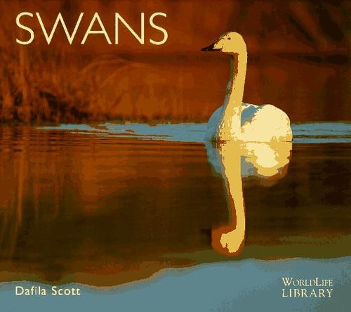 Swans