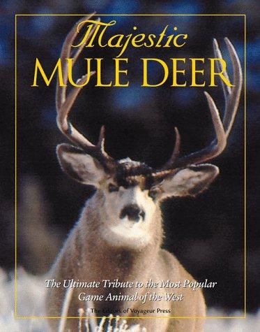 Majestic Mule Deer