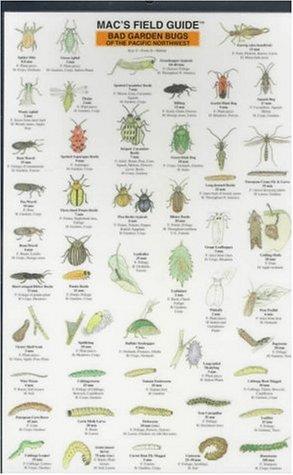Mac's Field Guide: Bad Garden Bugs of the Pacific Northwest
