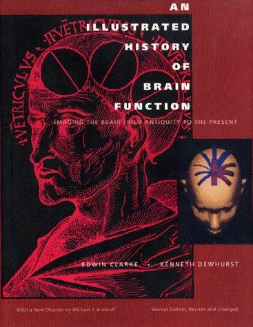 An illustrated history of brain function