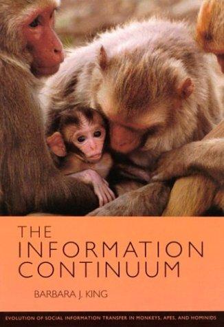 The information continuum