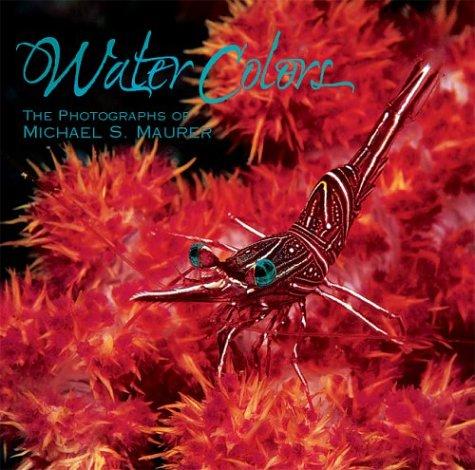 Water Colors