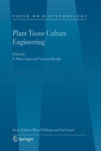 Plant tissue culture engineering