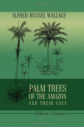 Palm Trees of the Amazon and Their Uses