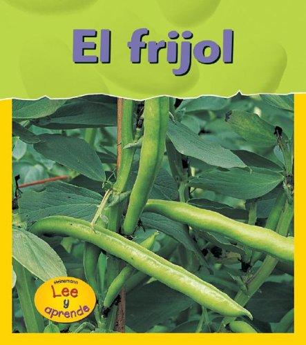 El Frijol / Bean
