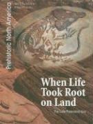 When life took root on land