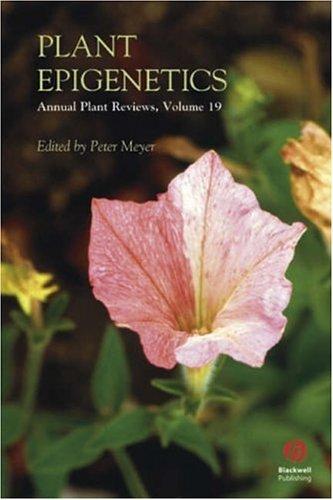 Plant epigenetics