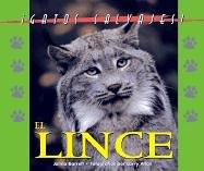 Gatos Salvajes (Wild Cats of North America) - El Lynx (The Lynx) (Gatos Salvajes (Wild Cats of North America))