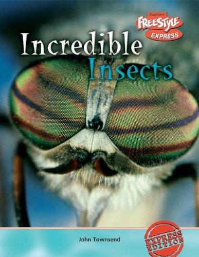Incredible Insects (Freestyle Express