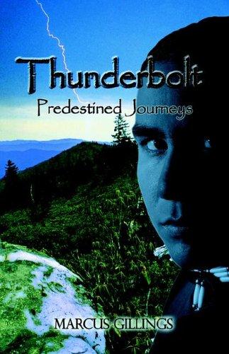 Thunderbolt: Predestined Journeys