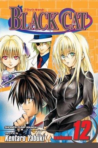 Black cat