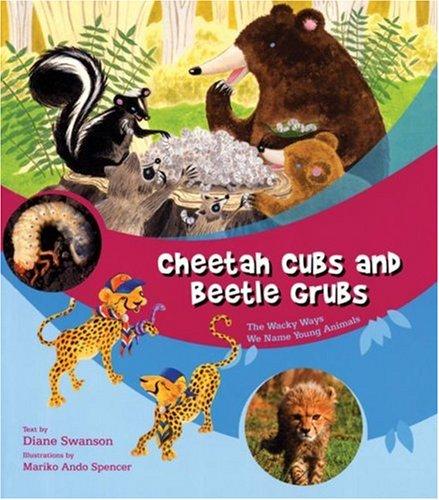 Cheetah Cubs and Beetle Grubs