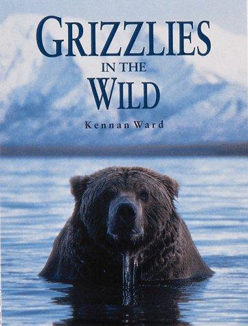Grizzlies in the wild