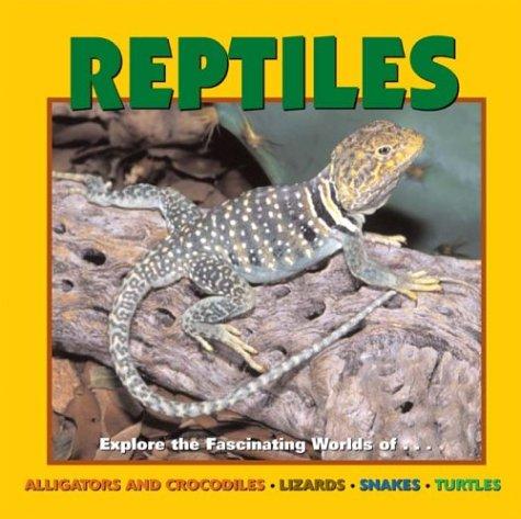 Reptiles