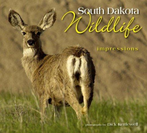 South Dakota Wildlife Impressions