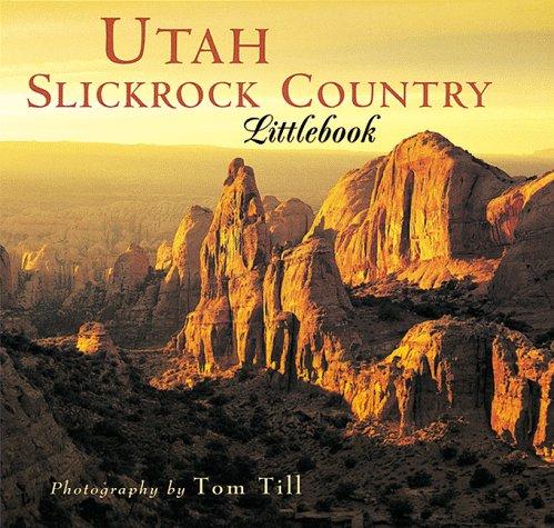 Utah slickrock country