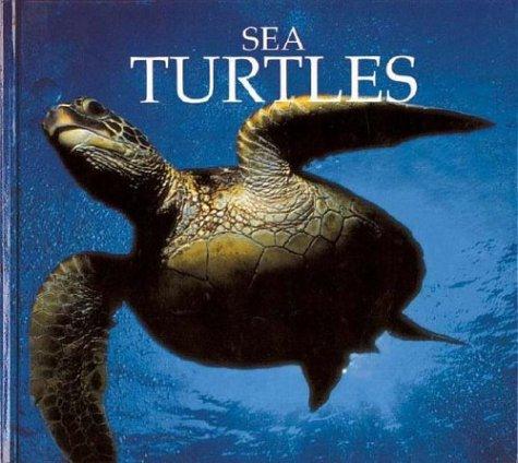 Sea turtles