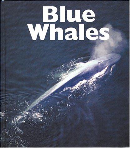 Blue whales