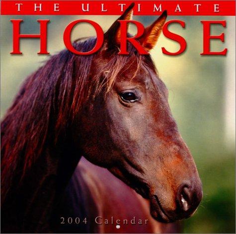 The Ultimate Horse 2004 Calendar