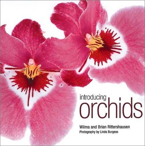Introducing orchids