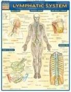 Lymphatic System