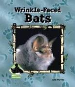 Wrinkle-Faced Bats (Animal Kingdom)