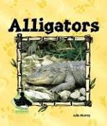Alligators (Animal Kingdom)