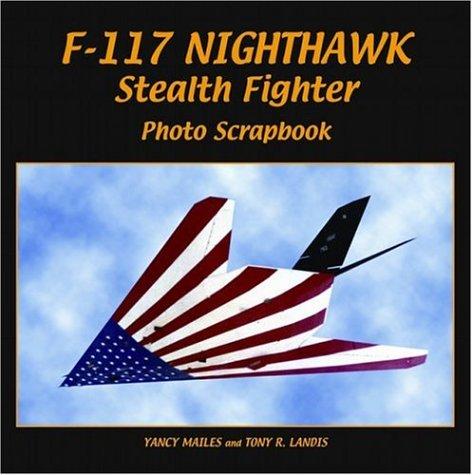 F-117 Nighthawk stealth fighter