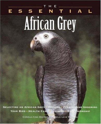 The Essential African Grey (Essential (Howell))
