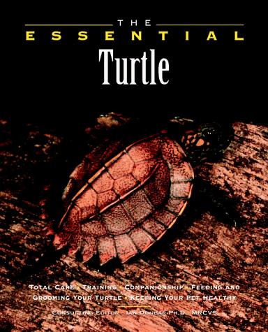 The essential turtle