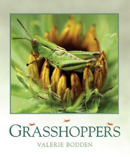 Grasshoppers (Bugbooks)