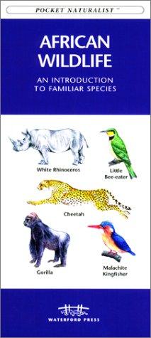 African Wildlife
