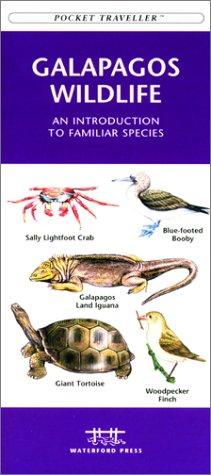 Galapagos Wildlife