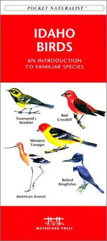 Idaho Birds