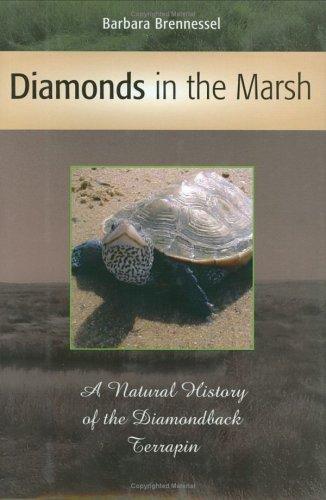 Diamonds in the marsh