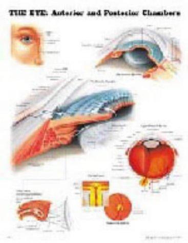 The Eye