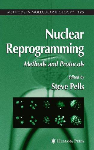 Nuclear reprogramming