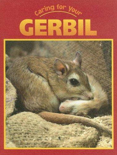 Gerbil (Caring for Your Pet)