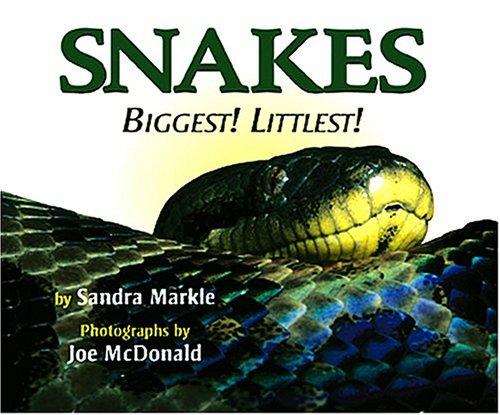 Snakes