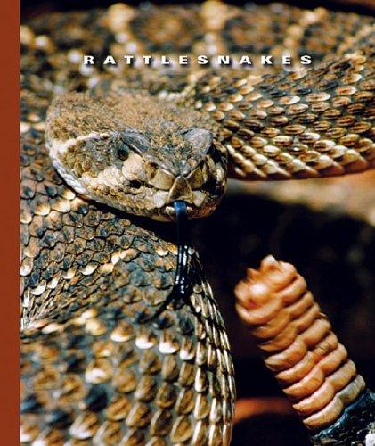 Rattlesnakes