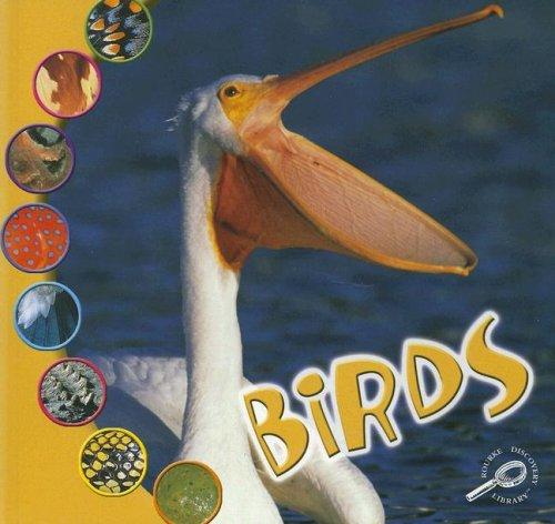 Birds (What Is An Animal?)