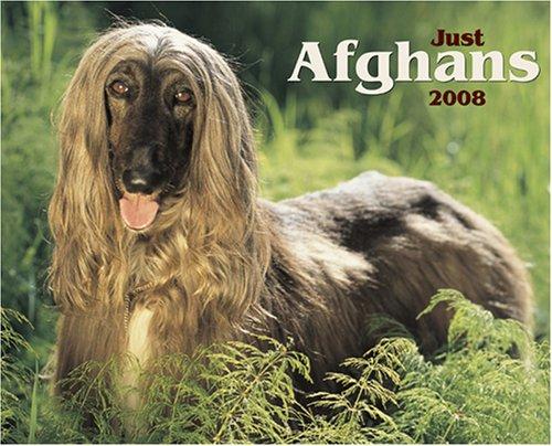 Just Afghans 2008 Calendars (Just)