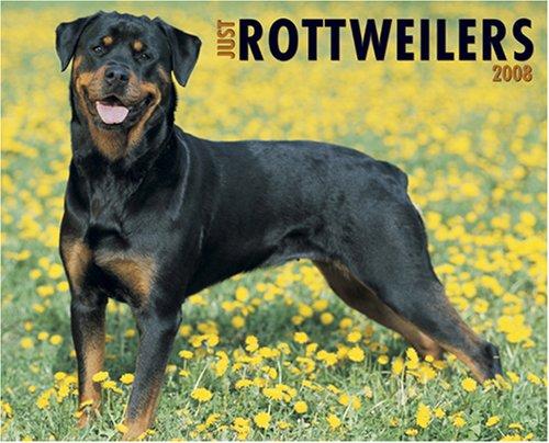 Just Rottweilers 2008 Calendar