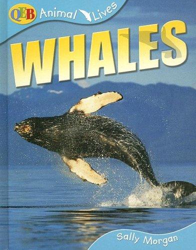 Whales (Animal Lives)