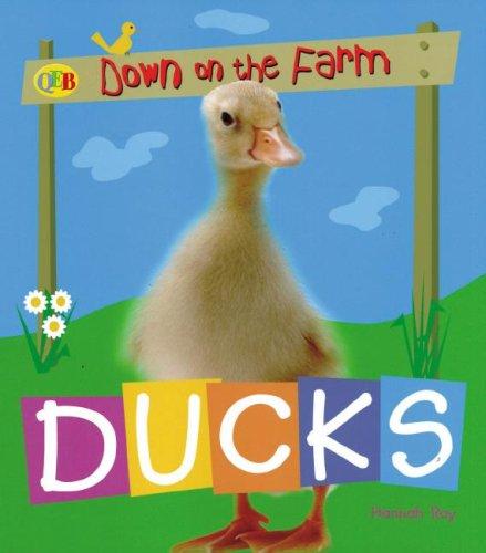 Ducks (Qeb Down on the Farm)