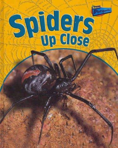 Spiders Up Close (Perspectives)