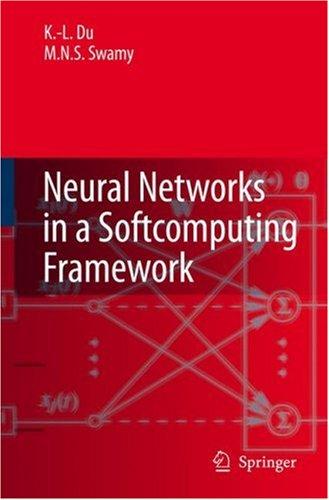 Neural networks in a softcomputing framework
