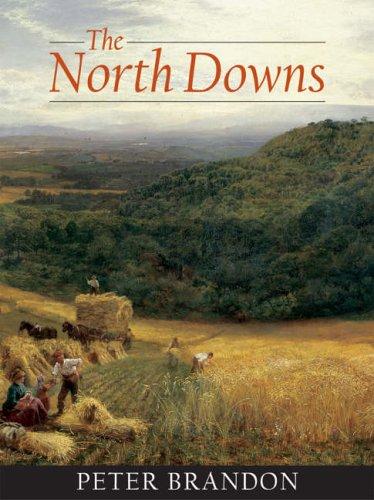 The North Downs