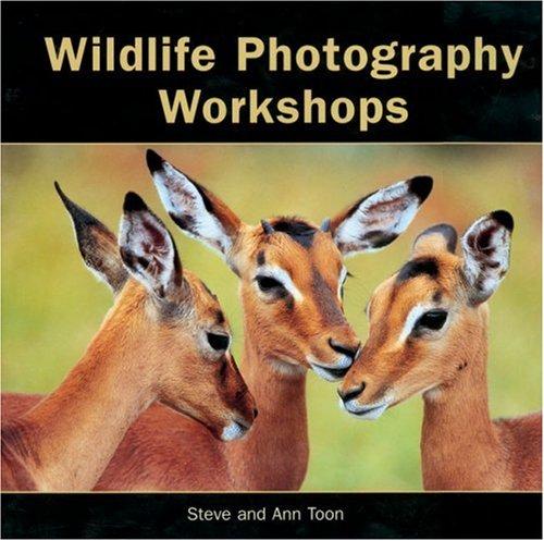 Wildlife photography workshops