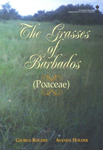 The grasses of Barbados (Poaceae)